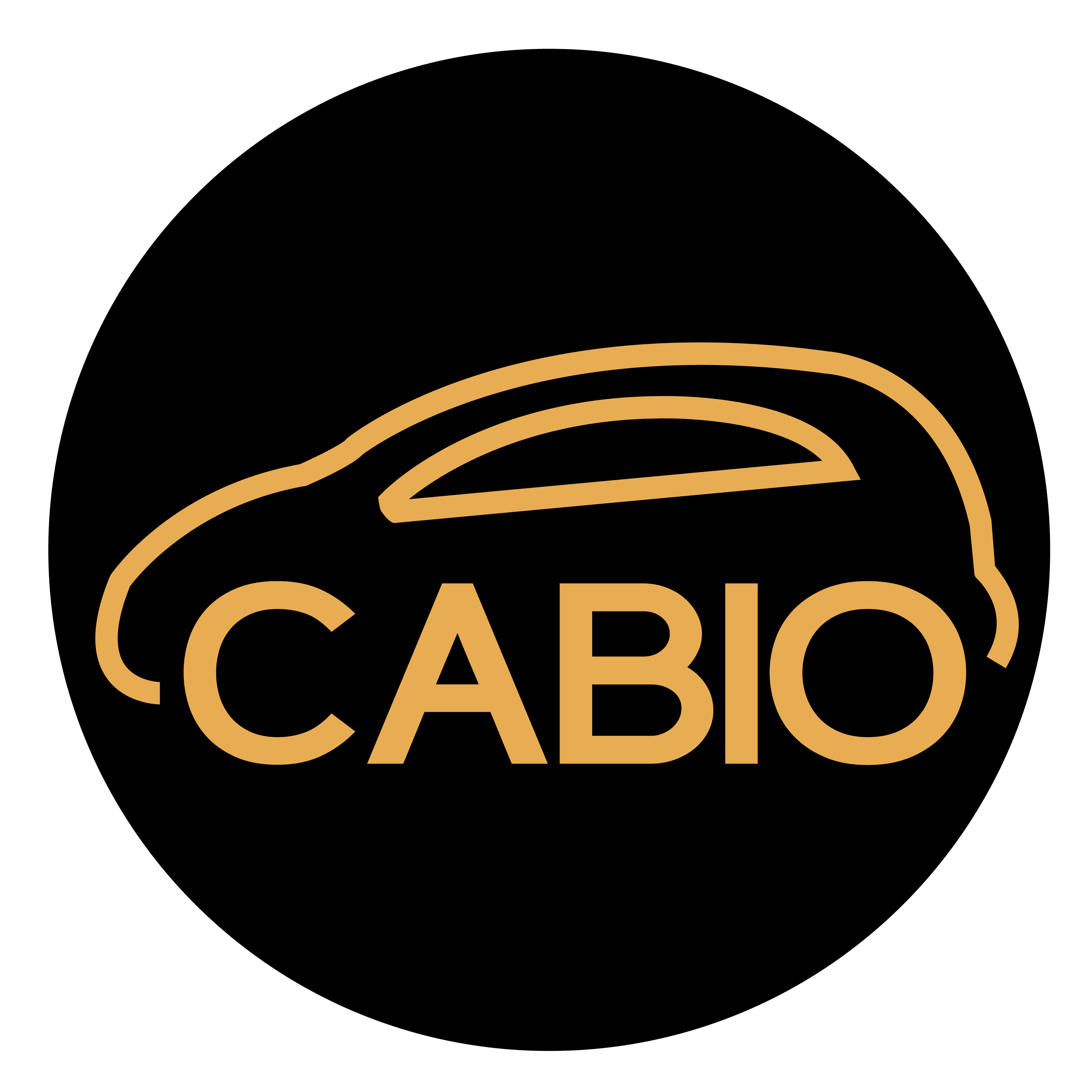 car-logo-desktop